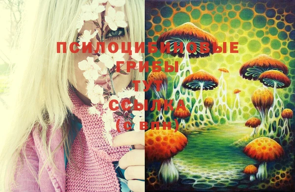 спиды Алзамай