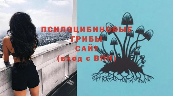 спиды Алзамай