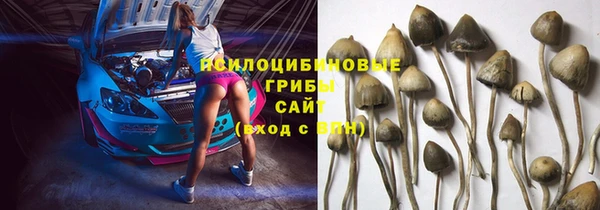 спиды Алзамай